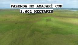 Título do anúncio: Excelente Fazenda no Amajarí/RR