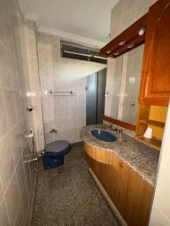 https://img.olx.com.br/thumbs256x256/28/283552889626425.jpg