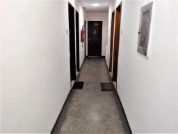 https://img.olx.com.br/thumbs256x256/28/283555400101171.jpg