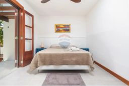 https://img.olx.com.br/thumbs256x256/28/283591524409311.jpg