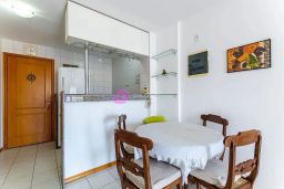 https://img.olx.com.br/thumbs256x256/28/284538753930128.jpg