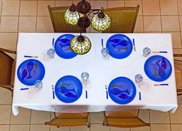 https://img.olx.com.br/thumbs256x256/28/285208313816070.jpg