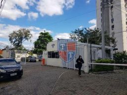 https://img.olx.com.br/thumbs256x256/28/285529408960569.jpg
