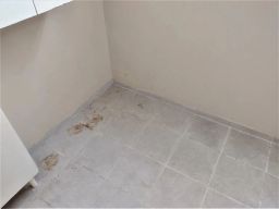 https://img.olx.com.br/thumbs256x256/28/285567162686591.jpg