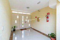 https://img.olx.com.br/thumbs256x256/28/285587768801656.jpg