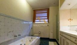 https://img.olx.com.br/thumbs256x256/28/285650434169183.jpg