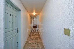 https://img.olx.com.br/thumbs256x256/28/286534888668271.jpg
