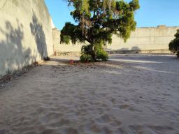 https://img.olx.com.br/thumbs256x256/28/286553605254461.jpg