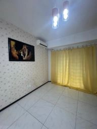https://img.olx.com.br/thumbs256x256/28/287516646980864.jpg