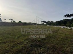 https://img.olx.com.br/thumbs256x256/28/287580764071082.jpg