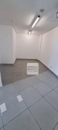 https://img.olx.com.br/thumbs256x256/28/288538168895522.jpg