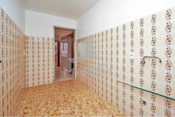 https://img.olx.com.br/thumbs256x256/28/288574289743108.jpg