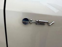 https://img.olx.com.br/thumbs256x256/28/288659817515489.jpg