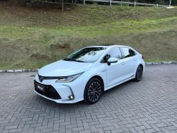 https://img.olx.com.br/thumbs256x256/28/288674794390228.jpg