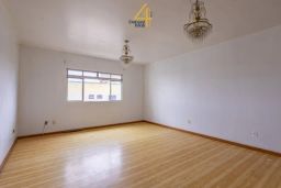 https://img.olx.com.br/thumbs256x256/28/289320534578314.jpg