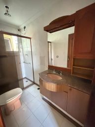 https://img.olx.com.br/thumbs256x256/28/289537521272573.jpg