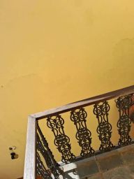 https://img.olx.com.br/thumbs256x256/28/289562401112899.jpg