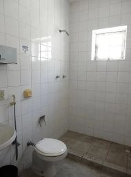 https://img.olx.com.br/thumbs256x256/29/290518288879504.jpg