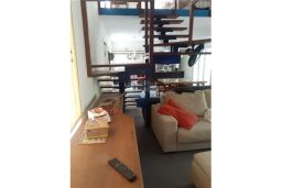 https://img.olx.com.br/thumbs256x256/29/290527509694715.jpg