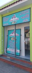 https://img.olx.com.br/thumbs256x256/29/290534529901505.jpg