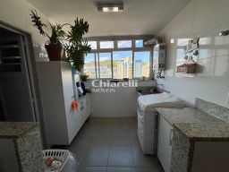 https://img.olx.com.br/thumbs256x256/29/290548165834435.jpg