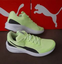 https://img.olx.com.br/thumbs256x256/29/290548287546505.jpg