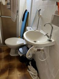 https://img.olx.com.br/thumbs256x256/29/290551282489336.jpg