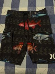 https://img.olx.com.br/thumbs256x256/29/290556393863504.jpg
