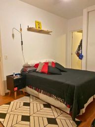 https://img.olx.com.br/thumbs256x256/29/290625302853450.jpg