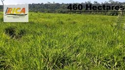 Título do anúncio: Fazenda com 460 Hectares à venda em Canutama - AM