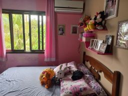 https://img.olx.com.br/thumbs256x256/29/291424575236384.jpg