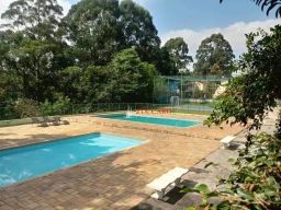 https://img.olx.com.br/thumbs256x256/29/291522408576923.jpg