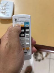 https://img.olx.com.br/thumbs256x256/29/291548143886915.jpg