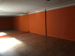 https://img.olx.com.br/thumbs256x256/29/291569036923681.jpg