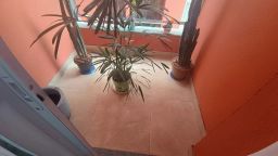 https://img.olx.com.br/thumbs256x256/29/291590763058238.jpg