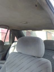 https://img.olx.com.br/thumbs256x256/29/291598886935265.jpg