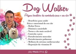 Título do anúncio: Cachorro dog walker