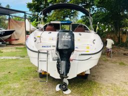 https://img.olx.com.br/thumbs256x256/29/292506492008696.jpg