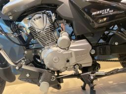 https://img.olx.com.br/thumbs256x256/29/292520634873867.jpg