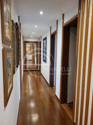 https://img.olx.com.br/thumbs256x256/29/292522146238682.jpg