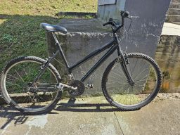 https://img.olx.com.br/thumbs256x256/29/292543404064912.jpg