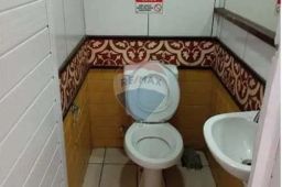 https://img.olx.com.br/thumbs256x256/29/292548164853162.jpg