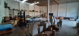 https://img.olx.com.br/thumbs256x256/29/292558283670247.jpg