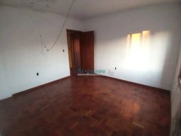 https://img.olx.com.br/thumbs256x256/29/292558884922236.jpg