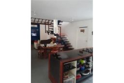 https://img.olx.com.br/thumbs256x256/29/292561741827888.jpg
