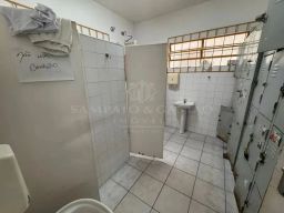 https://img.olx.com.br/thumbs256x256/29/292562512409624.jpg