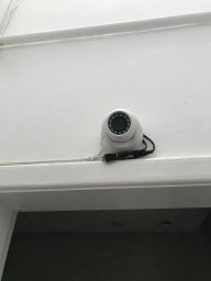 https://img.olx.com.br/thumbs256x256/29/292578150997301.jpg