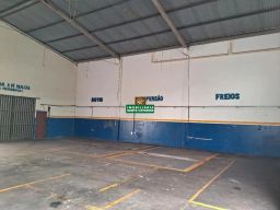 https://img.olx.com.br/thumbs256x256/29/292580168948519.jpg