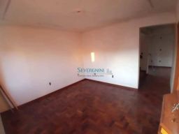 https://img.olx.com.br/thumbs256x256/29/292589641210249.jpg