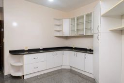 https://img.olx.com.br/thumbs256x256/29/292590524813263.jpg